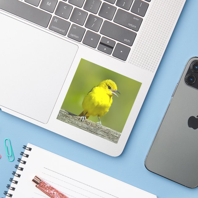 Sticker Orchard Oriole - Photo originale (Ordinateur portable avec iPhone)