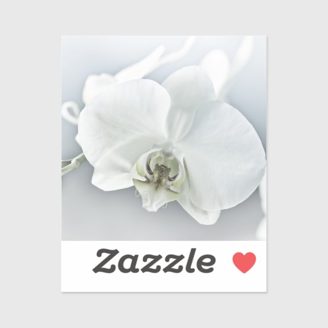Sticker Orchidée blanche Phalaenopsis (Feuille)