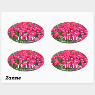 STICKER OVALE