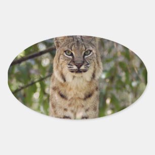 Sticker Ovale 3,5 x 3,5 Modèles - Aimant ovale