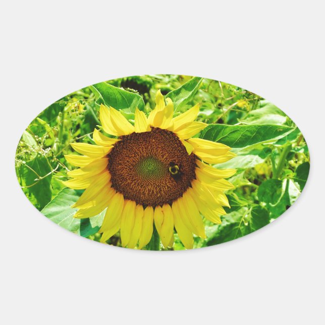 Sticker Ovale Abeille sur tournesol jaune (Devant)