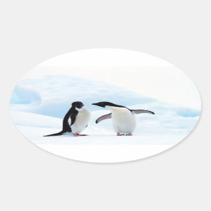Sticker Ovale Adelie Penguins