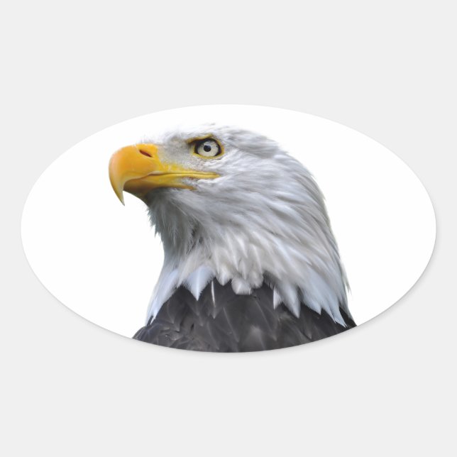 Sticker Ovale Aigle de Bald (Devant)