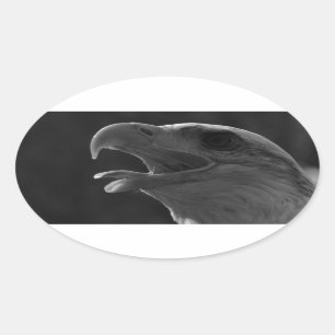Sticker Ovale Aigle noir et blanc