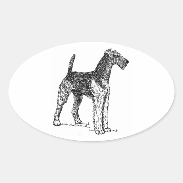 Sticker Ovale Airedale, dessin.png (Devant)