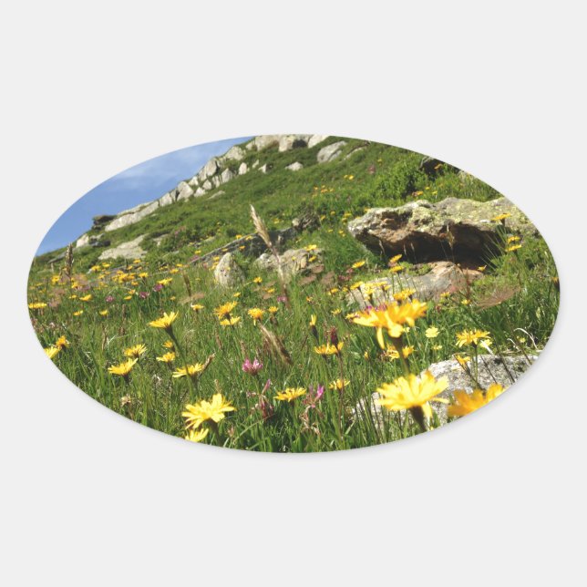 Sticker Ovale Amazing ! Alpine flowers (Devant)