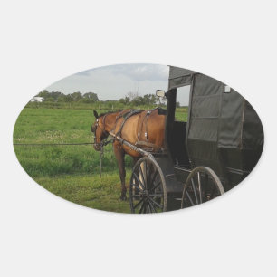Sticker Ovale Amish Horse et Buggy au coucher du soleil à Frytow