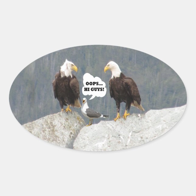 Sticker Ovale Amusants aigles et mouettes (Devant)