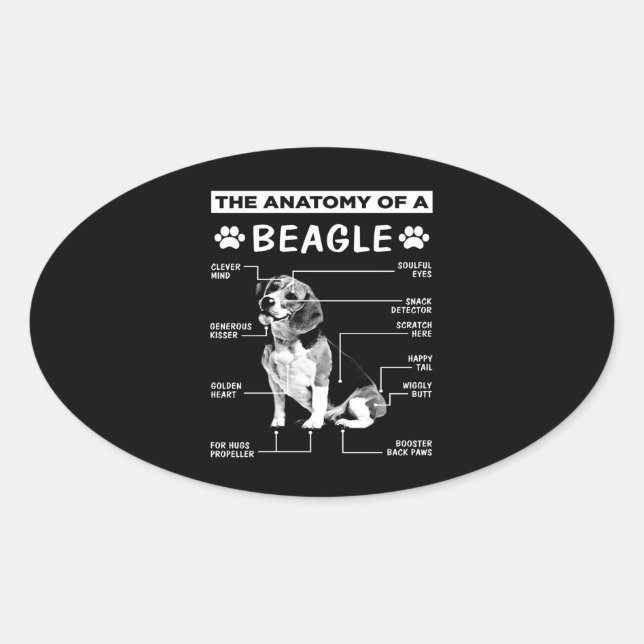 Sticker Ovale Anatomy Beagle (Devant)
