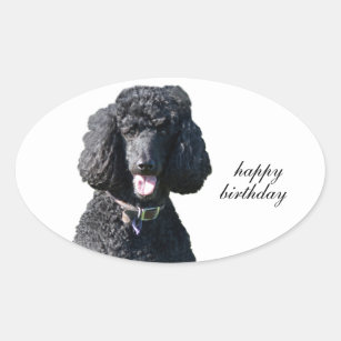 Autocollants Stickers Chien Joyeux Anniversaire Zazzle Fr