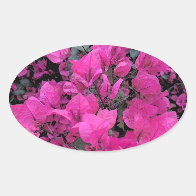 Sticker Ovale Aquarelle-Bougainvilliers (Devant)