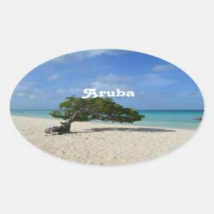 Sticker Ovale Arbre d'Aruba Divi Divi