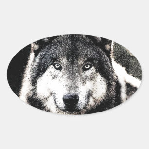 Sticker ovale aux yeux de loup sauvage