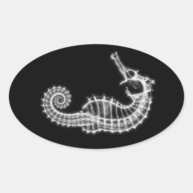 Sticker Ovale B&W X-ray Vision Seahorse Skeleton (Devant)