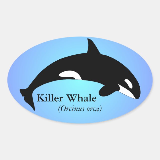 Sticker Ovale Baleine Tueuse Orque Dégradé Bleu (Devant)