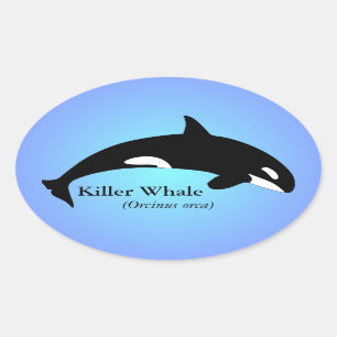 Sticker Ovale Baleine Tueuse Orque Dégradé Bleu