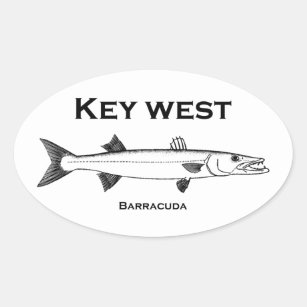 Sticker Ovale Barracuda de Key West
