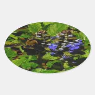 Sticker Ovale Baume d'abeille pourpre et bourdon