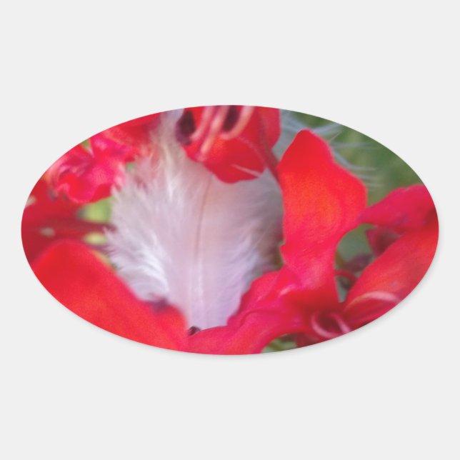 Sticker Ovale Beauté délicate : Fleur rouge avec plumes blanches (Devant)