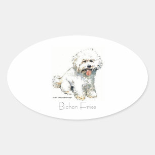 Sticker Ovale Bichon Frise