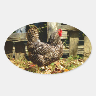 Sticker Ovale Black and white chicken