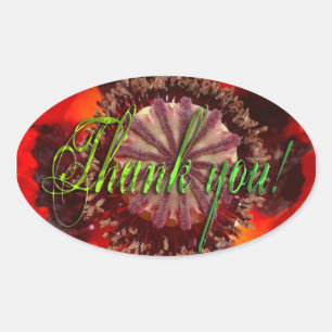Sticker Ovale Blossom du pavot - Merci
