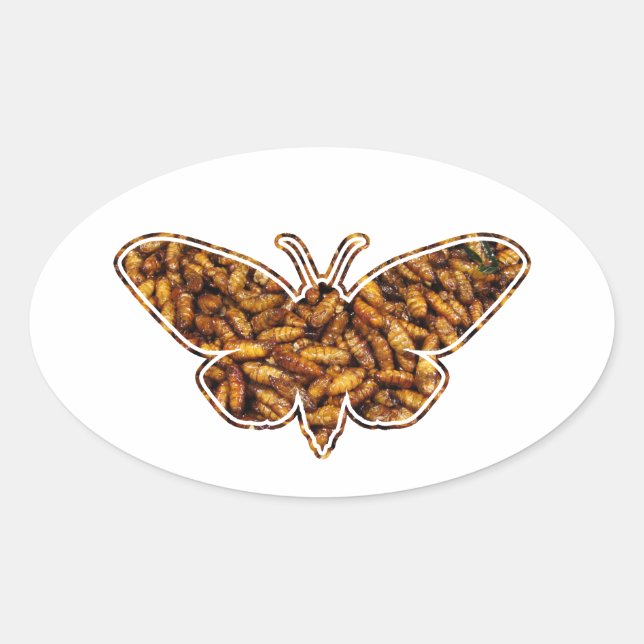 Sticker Ovale Bombyx Mori Silk Moth Cycle de vie Silhouette (Devant)