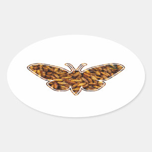 Sticker Ovale Bombyx Mori Silk Moth Cycle de vie Silhouette