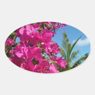 Sticker Ovale Bougainvilliers et palmiers paysage tropical