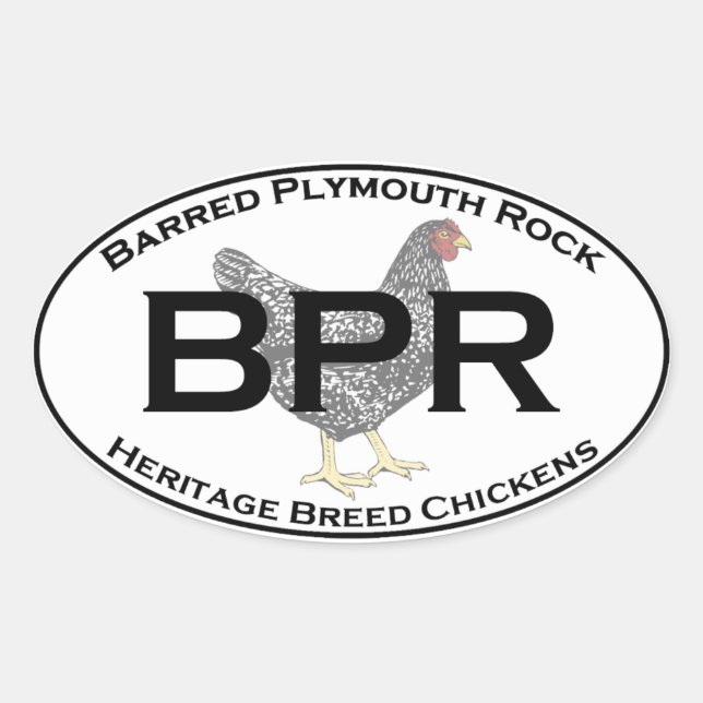 Sticker Ovale BPR - Barred Plymouth Rock Heritage Breed Chickens (Devant)