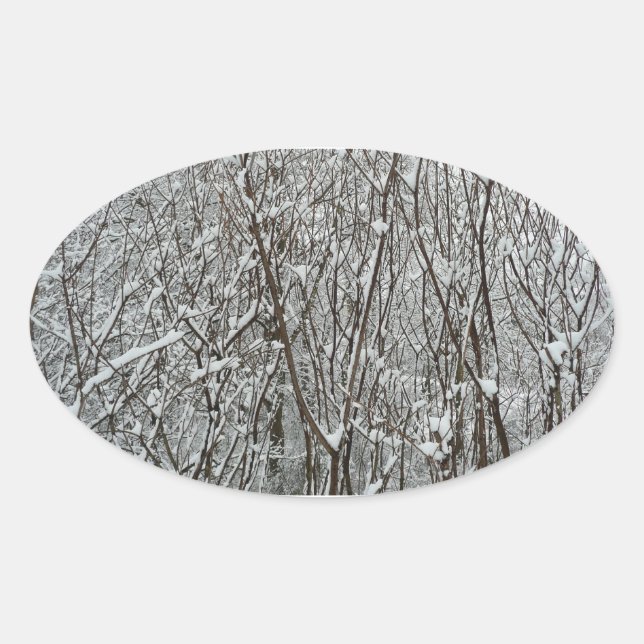 Sticker Ovale Branches couvertes de neige Abstraite hivernale (Devant)