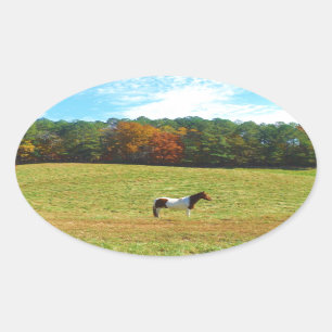 Sticker Ovale Brown & cheval blanc, arbres d'automne, ciel bleu