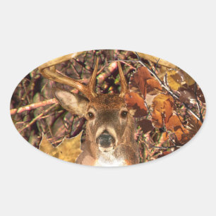 Sticker Ovale Buck in Camo White Tail Deer