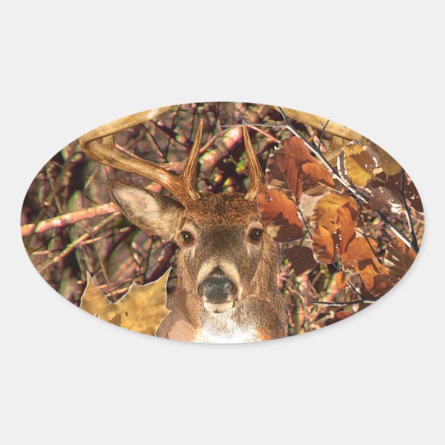 Sticker Ovale Buck in Camo White Tail Deer (Devant)