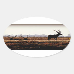 Sticker Ovale Bull Elk Silhouette