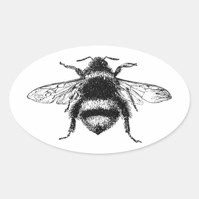 Sticker Ovale Bumble Bee classique (Devant)