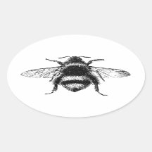 Bumble Bee classique