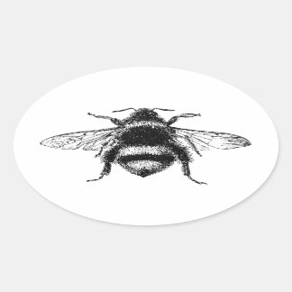 Sticker Ovale Bumble Bee classique