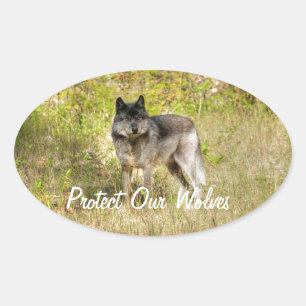 Sticker Ovale Cadeau photo Gray Wolf & Wilderness