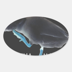 Sticker Ovale Canard avec moi se réveille comme ça & Hakuna Mata