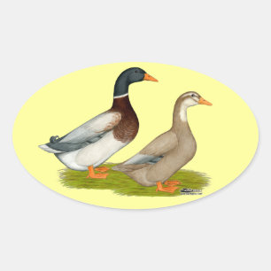 Sticker Ovale Canards de Saxe