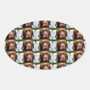 Sticker Ovale Carreaux Chocolat Labrador Retriever BG