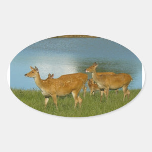 Sticker Ovale Cerf Animal Nature Paix Amour Destinée Amusement A