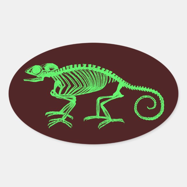 Sticker Ovale Chameleon Skeleton (Devant)