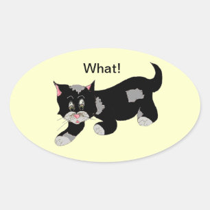Sticker Ovale Chat Cool avec Citation