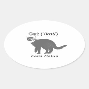 Sticker Ovale Chat Felis Catus