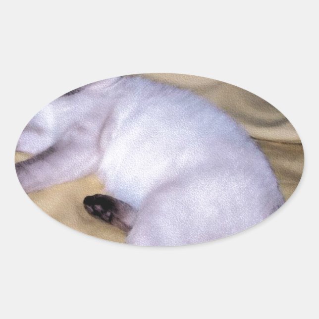 Sticker Ovale Chat Siamese grès grès animal art animal animal an (Devant)