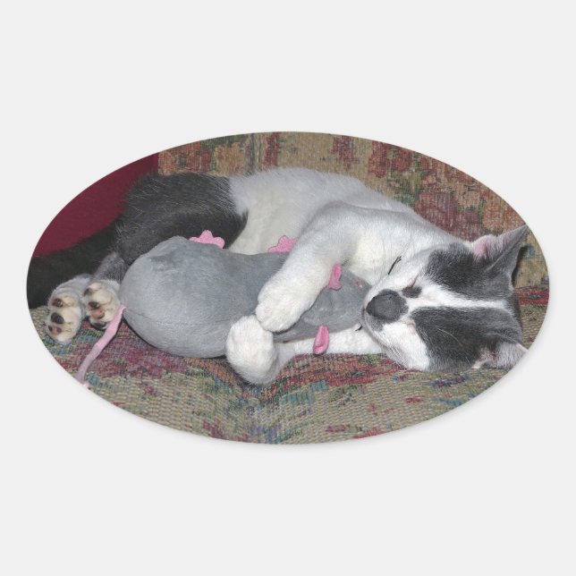 Sticker Ovale Chaton couchant (Devant)
