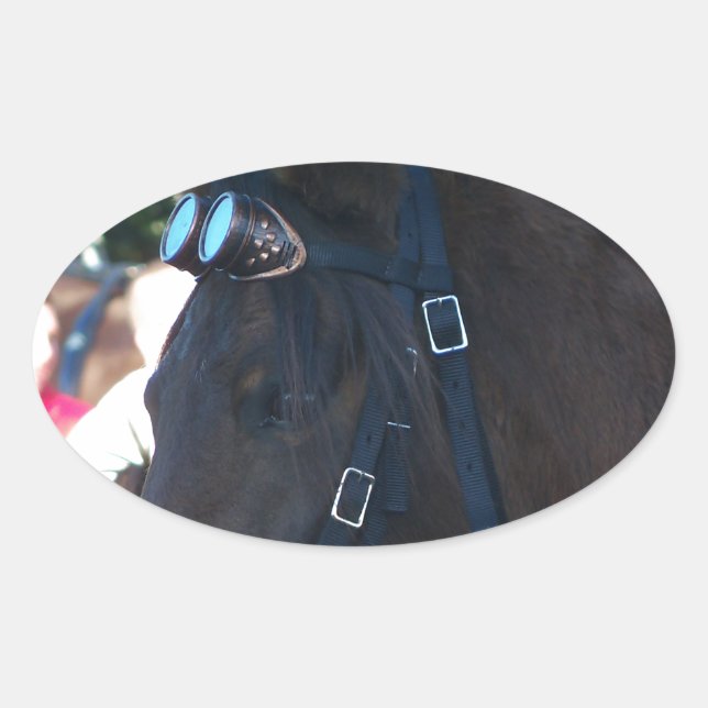 Sticker Ovale Cheval arabe Brown foncé portant des lunettes (Devant)
