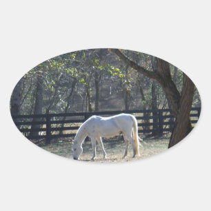 Sticker Ovale Cheval blanc dans les arbres